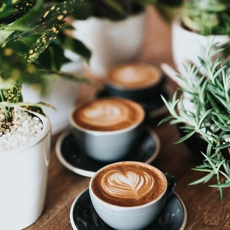 Ganze Ferienwohnung 5 Km Von Erfurt, Mit Kaffeevollautomat, Tv, Wlan, Boxspringbett, Schlafsofa Und Einkaufsmoeglichkeiten, Sehr Gute Anbindung Zur A71 Und A4, Kostenloser Oeff Parkplatz Fuer Pkw Und Transporter Elxleben 外观 照片