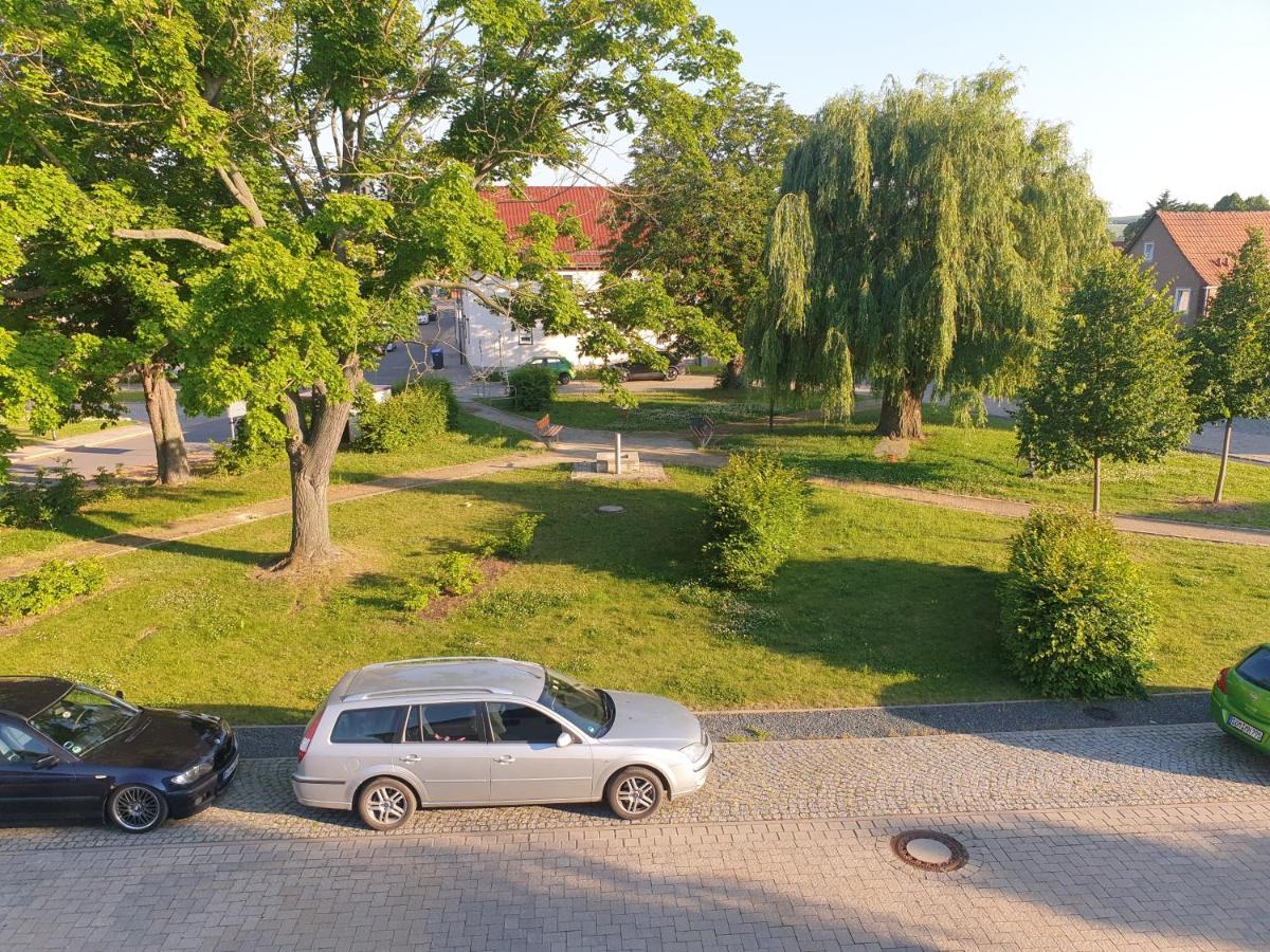 Ganze Ferienwohnung 5 Km Von Erfurt, Mit Kaffeevollautomat, Tv, Wlan, Boxspringbett, Schlafsofa Und Einkaufsmoeglichkeiten, Sehr Gute Anbindung Zur A71 Und A4, Kostenloser Oeff Parkplatz Fuer Pkw Und Transporter Elxleben 外观 照片
